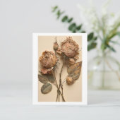 Carte postale Rose sèche (Debout devant)