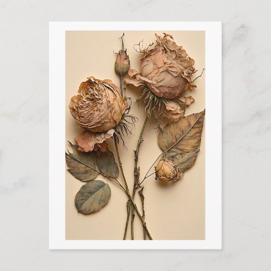 Carte postale Rose sèche (Devant)