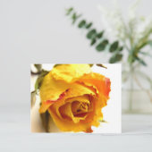 Carte Postale Rose séché (Debout devant)