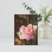 Carte Postale rose simple l'après-midi (Debout devant)