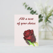 Carte Postale Rose simple rouge sur un arrière - plan rose clair (Debout devant)