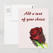 Carte Postale Rose simple rouge sur un arrière - plan rose clair (Devant / Derrière)