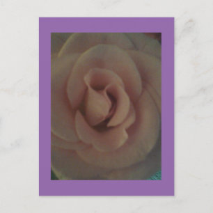 Carte Postale Rose souple