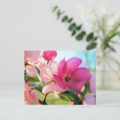 Carte postale Rose Spring Blossom (Debout devant)