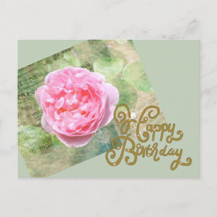 Carte Postale Rose sur le mur
