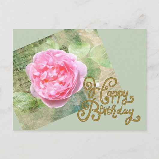 Carte Postale Rose sur le mur (Devant)