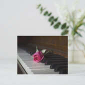 Carte Postale Rose sur piano (Debout devant)