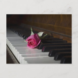 Carte Postale Rose sur piano