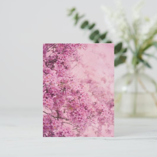 Carte Postale Rose sur rose (Debout devant)