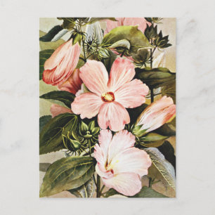 Carte Postale Rose trémière aquarelle vintage Fleurs sauvages
