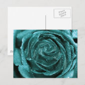 Carte Postale Rose Turquoise Imaginaire (Devant / Derrière)