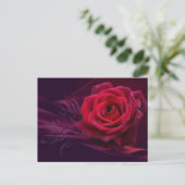 Carte postale Rose Velvet (Debout devant)