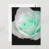 Carte Postale Rose verte et blanche... (Devant / Derrière)