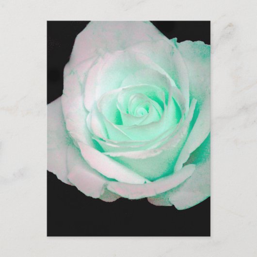 Carte Postale Rose verte et blanche... (Devant)