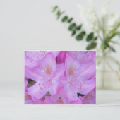 Carte postale rose vibre (Debout devant)