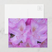 Carte postale rose vibre (Devant / Derrière)