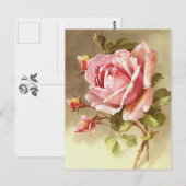 Carte Postale Rose victorienne texturale magnifique (Devant / Derrière)