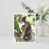 Carte Postale Rose vif (Debout devant)