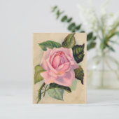 Carte postale rose vintage (Debout devant)