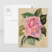 Carte postale rose vintage (Devant / Derrière)