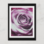 Carte Postale Rose Vintage (Devant)