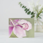 Carte Postale rose vintage (Debout devant)