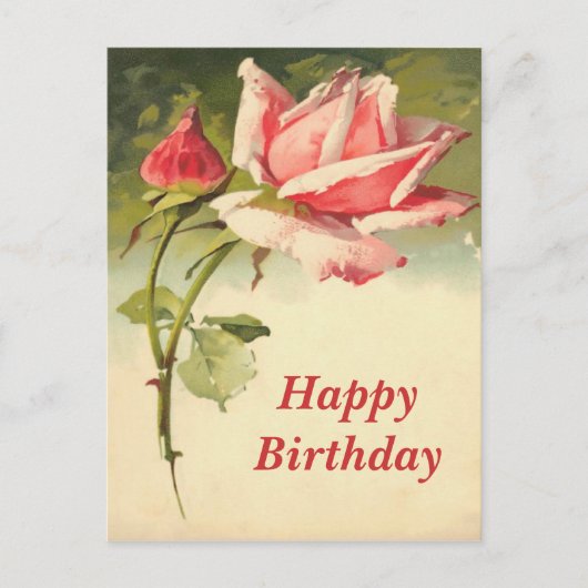 Carte postale rose vintage (Devant)