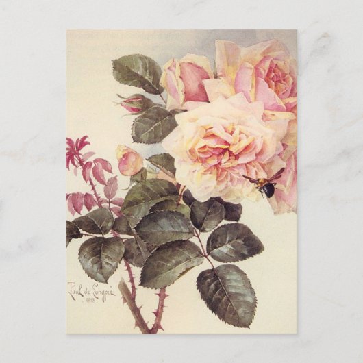 Carte postale Rose vintage (Devant)