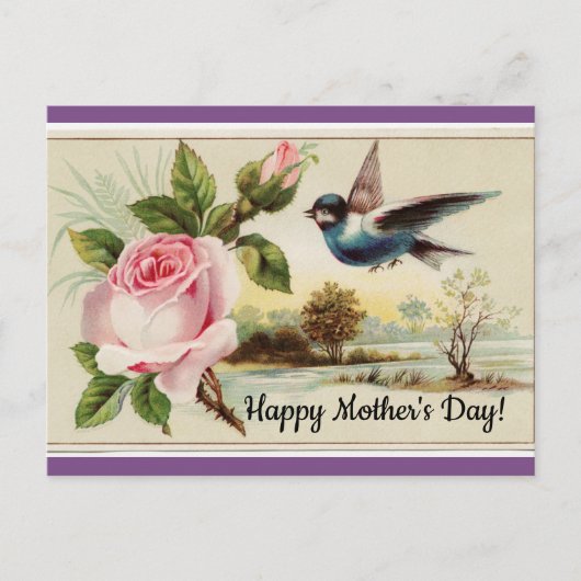 Carte Postale Rose vintage Et Oiseau (Devant)