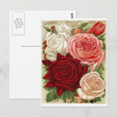 Carte postale Rose vintage Gardens (Devant / Derrière)