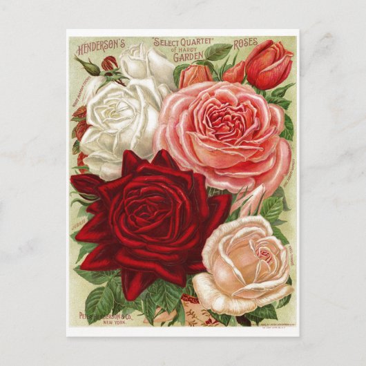 Carte postale Rose vintage Gardens (Devant)
