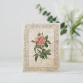 CARTE POSTALE ROSE VINTAGE I (Debout devant)