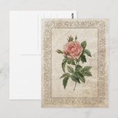 CARTE POSTALE ROSE VINTAGE I (Devant / Derrière)