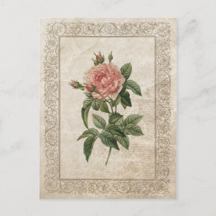 CARTE POSTALE ROSE VINTAGE I