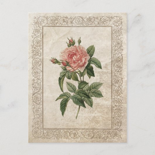CARTE POSTALE ROSE VINTAGE I (Devant)
