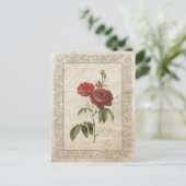 CARTE POSTALE ROSE VINTAGE II (Debout devant)