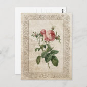 CARTE POSTALE ROSE VINTAGE III (Devant / Derrière)