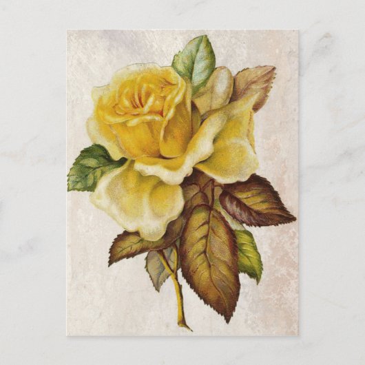 Carte Postale Rose Vintage jaune (Devant)