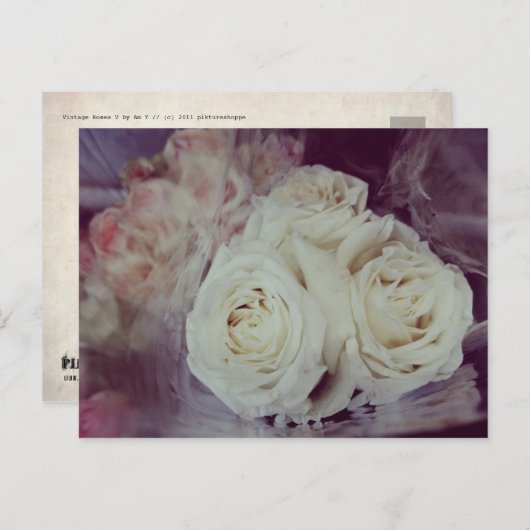 CARTE POSTALE ROSE VINTAGE V (Devant / Derrière)