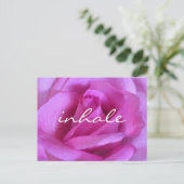Carte Postale Rose violet Fleur Rose Gras Photo Inhale Script (Debout devant)
