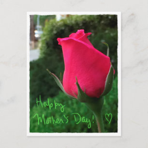 Carte postale Rosebud Happy Mother's Day