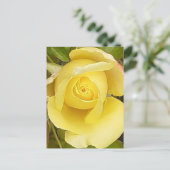 Carte postale Rosebud jaune (Debout devant)