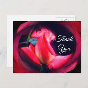 Carte postale Rosebud rose Abstrait Merci floral