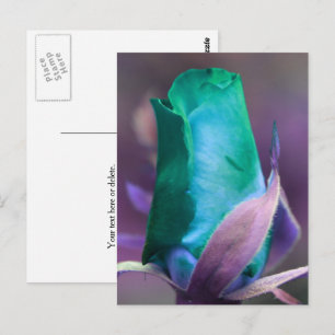 Carte Postale Rosebud Turquoise Personnalisé