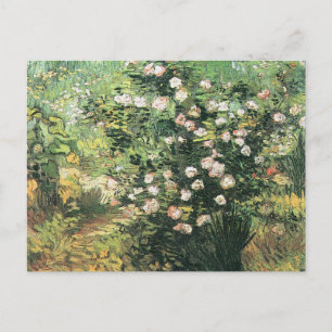 Carte Postale Rosebush in Blossom par Vincent van Gogh