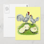 Carte Postale Rosecomb Bantams et Chicks (Devant / Derrière)