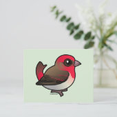Carte Postale Rosefinch (Debout devant)