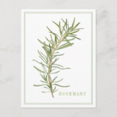 Carte postale ROSEMAIRE FRAÎCHE (Devant)