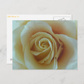 Carte Postale Rosentraum (Devant / Derrière)