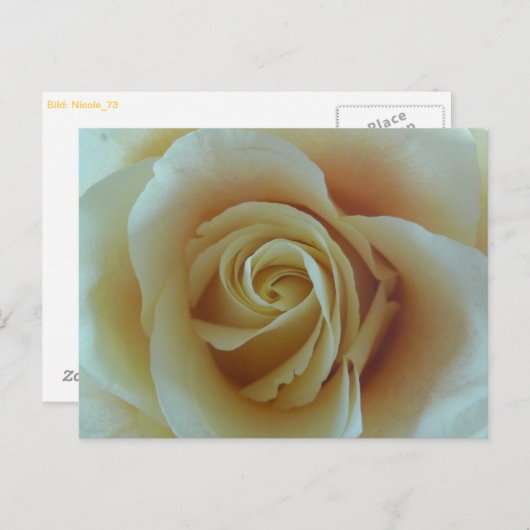 Carte Postale Rosentraum (Devant / Derrière)